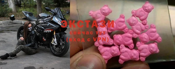 ECSTASY Богданович